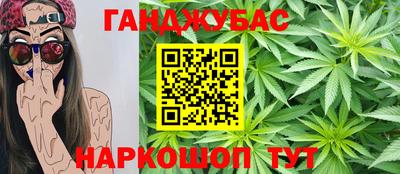 сатива Тверь
